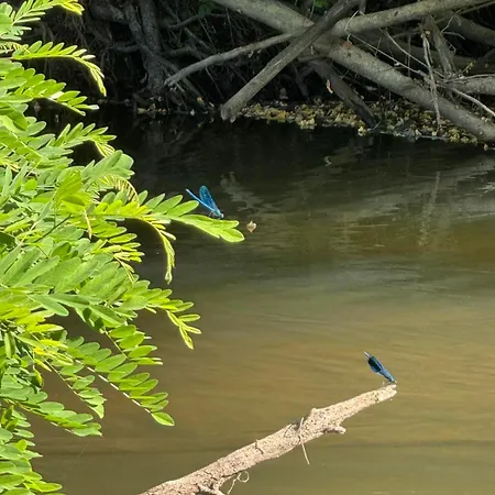 Natura 格拉迪什卡